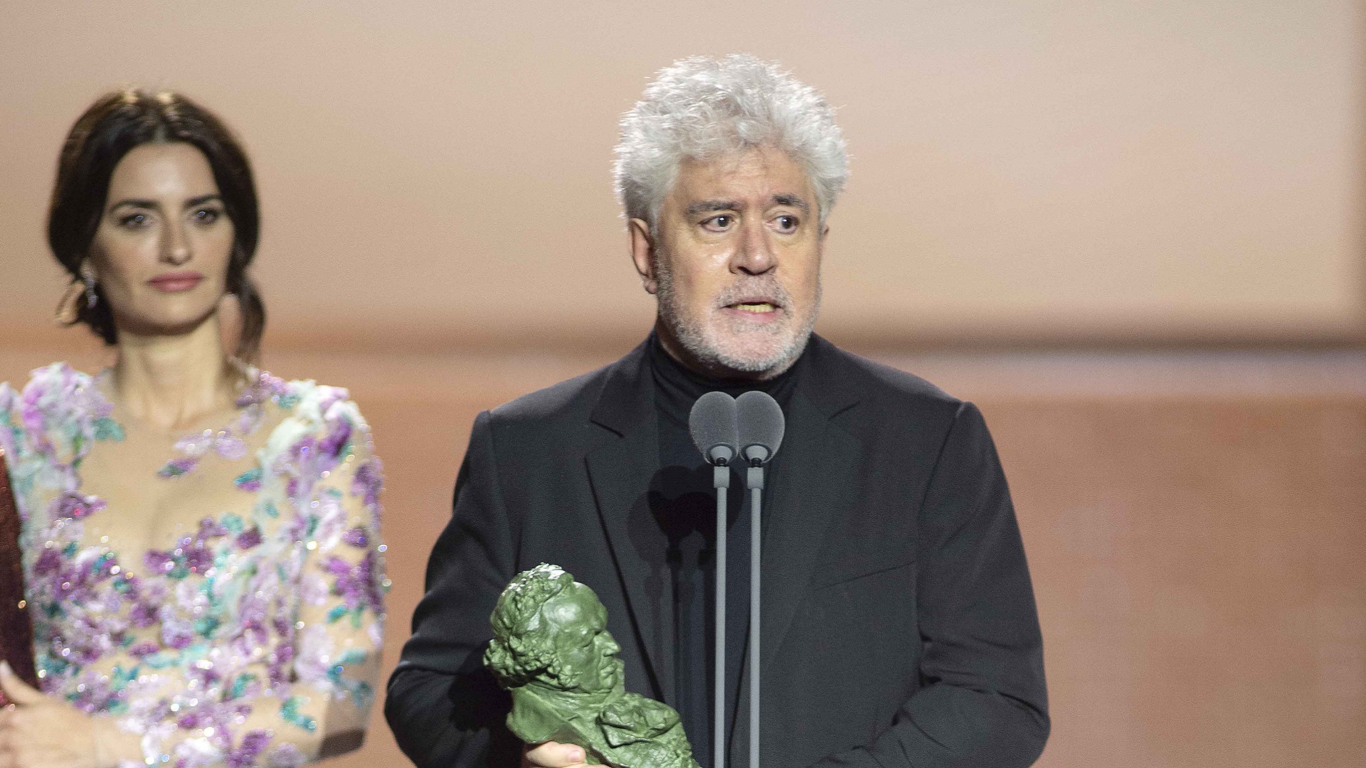 Los Goya 2020: más gloria que dolor para Almodóvar 10 Goya 2020