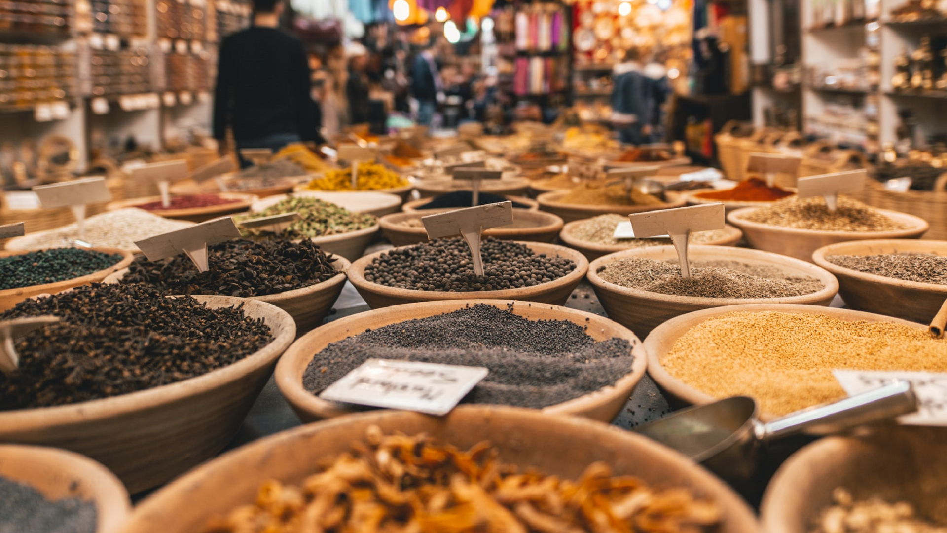 Sílvia de Lamo: “Es vital encontrar nuevas fuentes de proteínas a las que ya se utilizan, y los insectos son una de ellas” 9