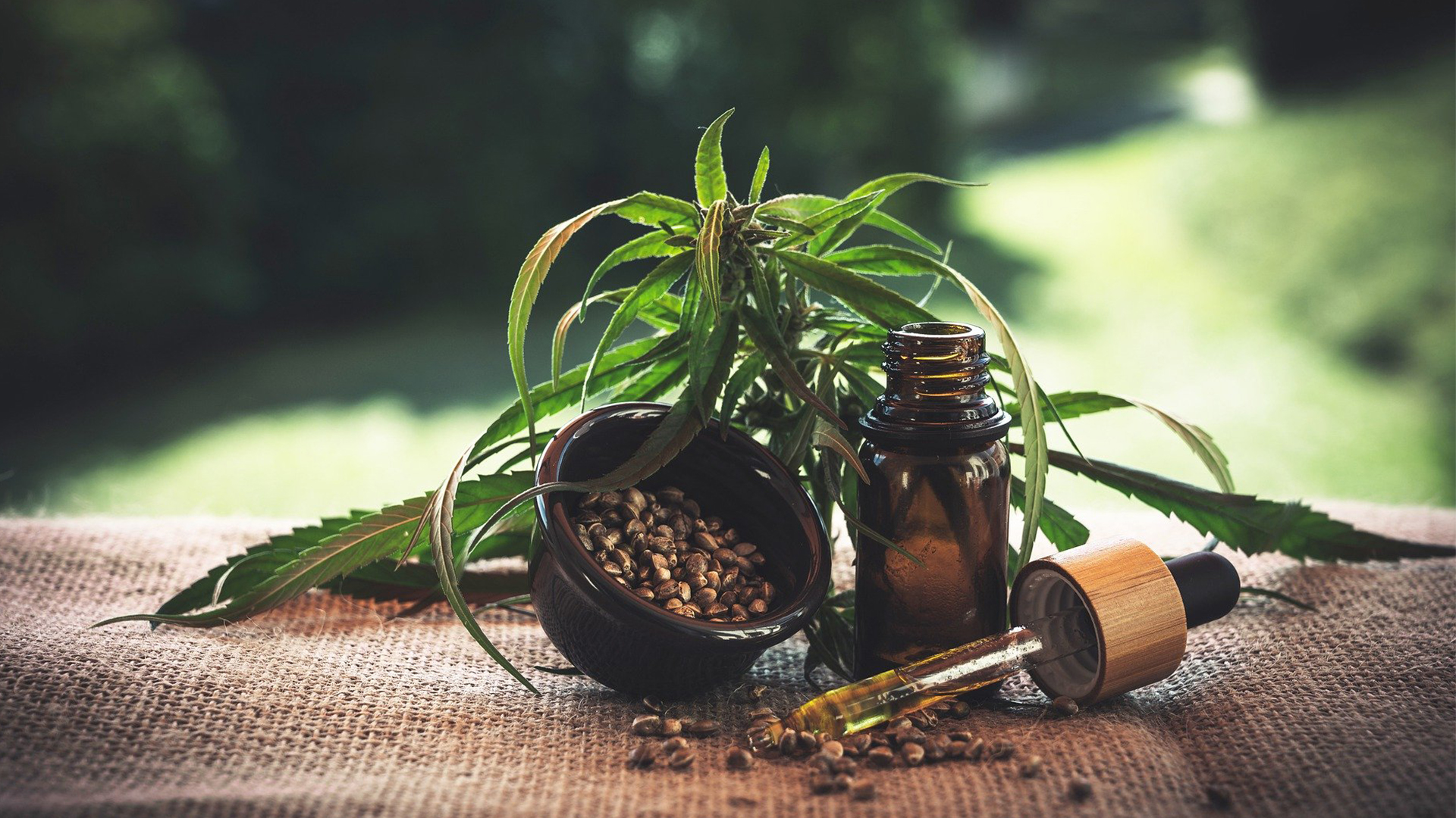 Cannabis: el nuevo elixir cosmético 6