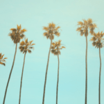 Bañadores 2020, las tendencias se inspiran en Coachella 25