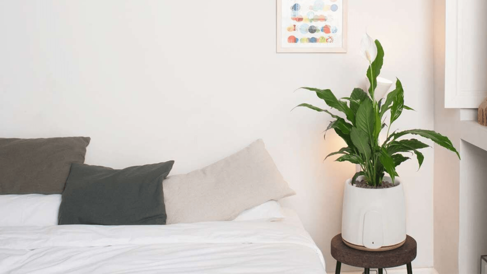 Purificador de aire: olvídate de las alergias en casa con estos modelos que puedes encontrar en Amazon 2 purificador de aire