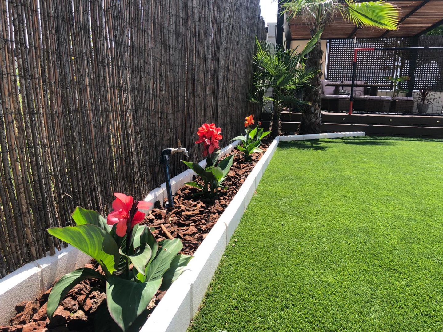 suficiente presión me quejo 𝓑𝓮𝓵𝓐𝓲𝓻 〉 Diez plantas de exterior resistentes al sol y al calor: da  vida y color a tu jardín este verano