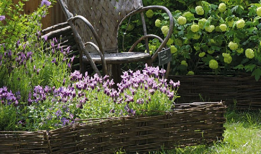 ?????? 〉 Diez plantas de exterior resistentes al sol y al calor: da  vida y color a tu jardín este verano