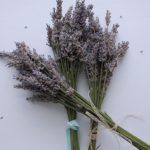 Perfuma tu casa en verano: los mejores trucos para que tu hogar huela bien durante los meses de más calor 31 lavanda perfumar casa
