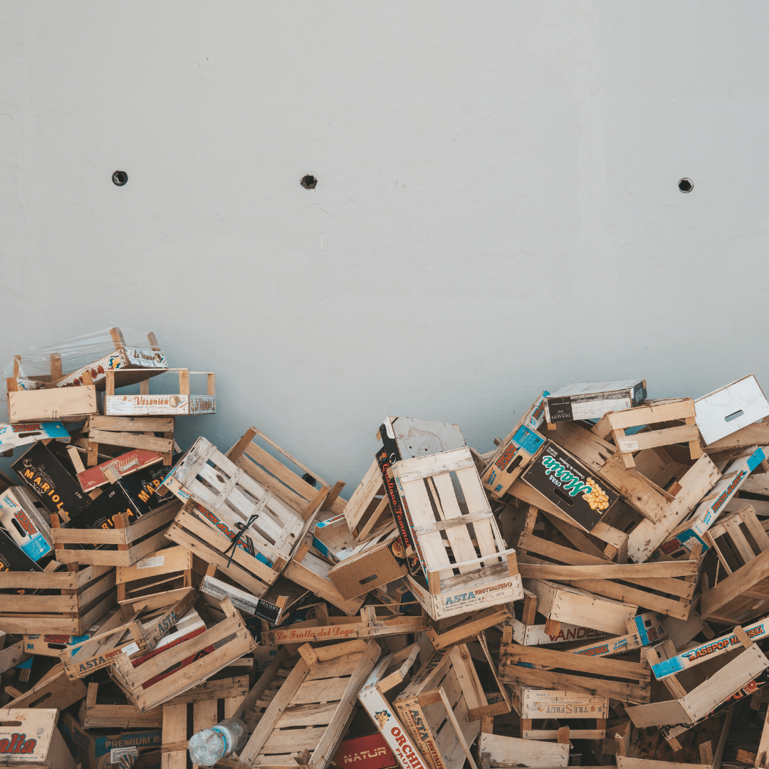 Planazo eco: construye tu propio mini huerto ecológico en casa 1