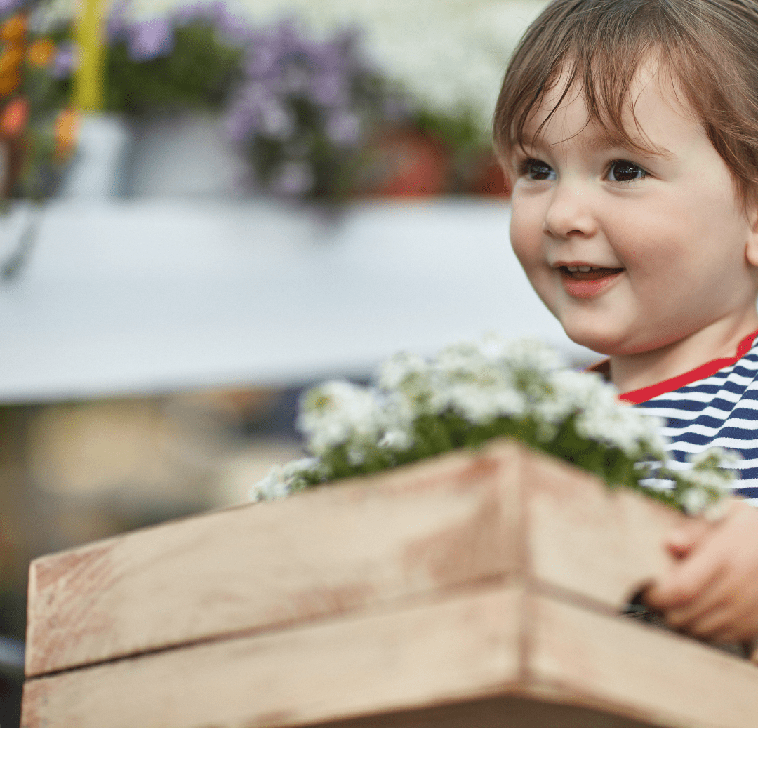 Planazo eco: construye tu propio mini huerto ecológico en casa 3