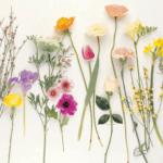 Green Collective, diseños florales 23