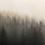 Dos trilogías de novela negra que te engancharán 32