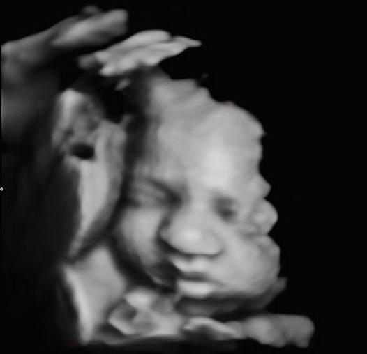 Influencers y famosas embarazadas: los bebés que llegarán este 2021 13