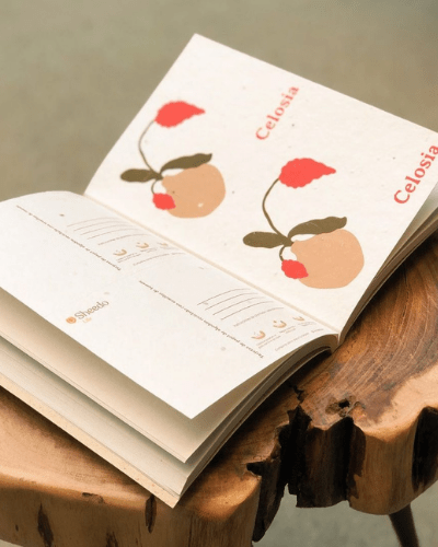 Sheedo Life, papelería de usar y plantar 2