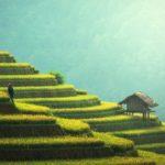 ¿Estás comprometid@ con el medioambiente? 4 cuentas de Instagram sostenibles que debes seguir 25