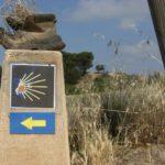 camino de santiago