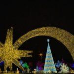 JOY TO THE WORLD IFEMA