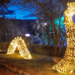El Bosque Encantado y sus mágicas noches 23 Bosque Encantado