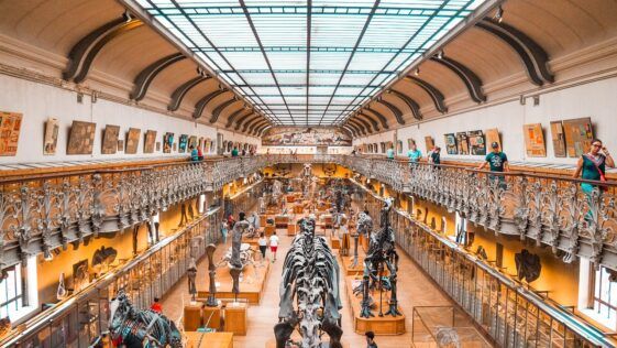 Arte y accesibilidad: los museos más accesibles e inclusivos de España 46
