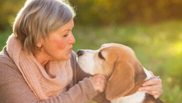 6 razones por las que tener un perro es un acierto para la tercera edad 56