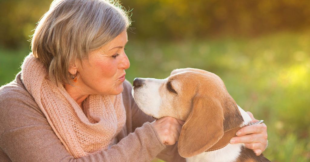 6 razones por las que tener un perro es un acierto para la tercera edad 7