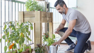 Los huertos urbanos se convierten en tendencia tras ocupar más de 1,5 millones de m2 en las ciudades 11