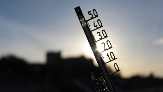 La demanda de terrazas en bares aumenta un 10%, aunque la movilidad se reduce por el calor extremo 48
