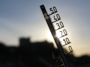La demanda de terrazas en bares aumenta un 10%, aunque la movilidad se reduce por el calor extremo 57